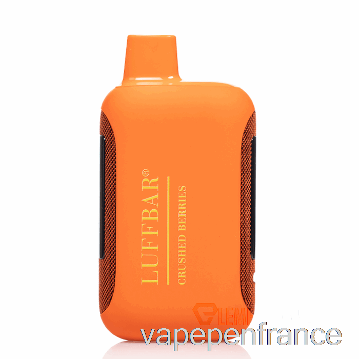 Luffbar Dually 20000 Stylo Vape Jetable à Baies écrasées